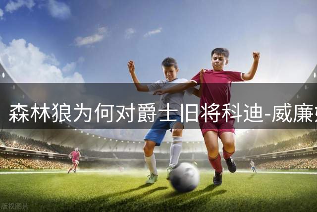 森林狼为何对爵士旧将科迪-威廉姆斯寄予厚望？